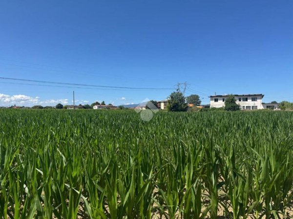 terreno agricolo in vendita a Ponte Buggianese