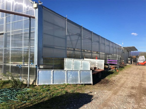 azienda agricola in vendita a Ponte Buggianese