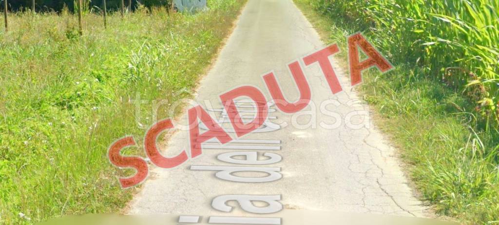 appartamento in vendita a Ponte Buggianese in zona Fattoria