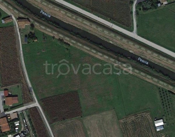 terreno agricolo in vendita a Ponte Buggianese