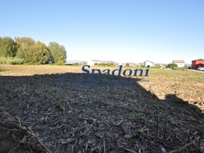terreno agricolo in vendita a Ponte Buggianese in zona Vione