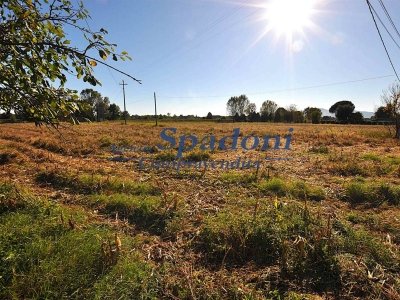 terreno agricolo in vendita a Ponte Buggianese in zona Vione