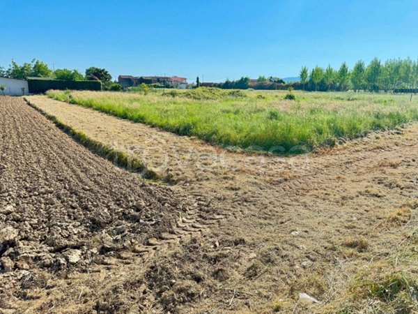 terreno agricolo in vendita a Ponte Buggianese
