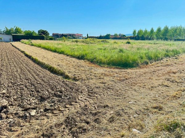 terreno agricolo in vendita a Ponte Buggianese