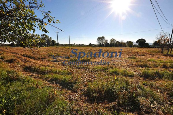 terreno agricolo in vendita a Ponte Buggianese in zona Vione