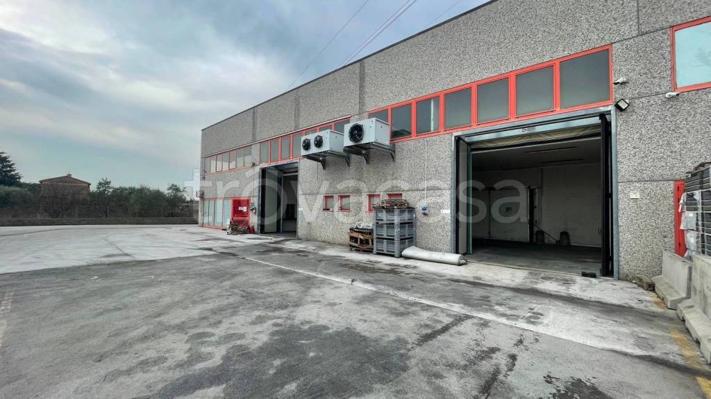 ufficio in vendita a Ponte Buggianese