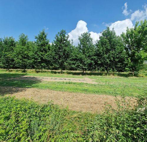 casa indipendente in vendita a Ponte Buggianese