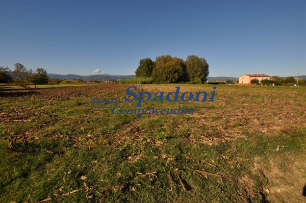 terreno agricolo in vendita a Ponte Buggianese in zona Vione