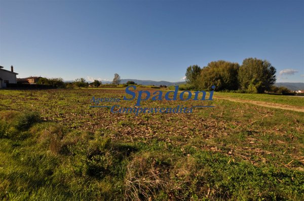terreno agricolo in vendita a Ponte Buggianese in zona Vione