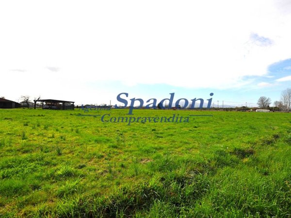 terreno agricolo in vendita a Ponte Buggianese in zona Vione