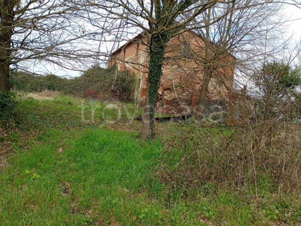 azienda agricola in vendita a Ponte Buggianese