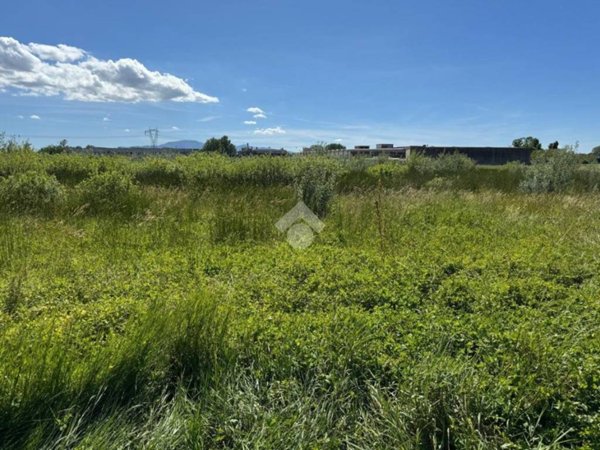 terreno agricolo in vendita a Ponte Buggianese