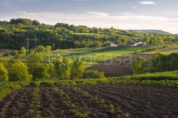 terreno agricolo in vendita a Quarrata in zona Forrottoli