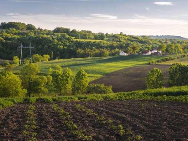 terreno agricolo in vendita a Quarrata in zona Forrottoli