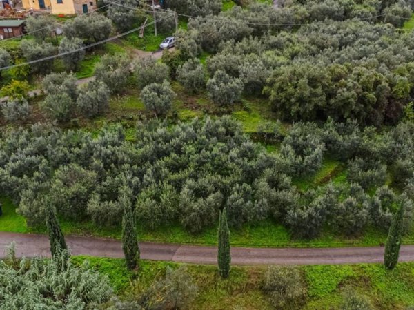 terreno agricolo in vendita a Quarrata in zona Lucciano