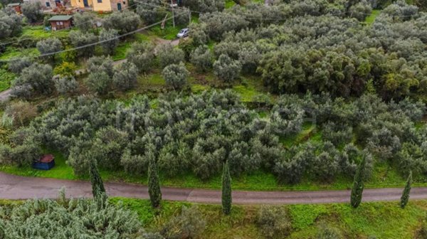 casa indipendente in vendita a Quarrata in zona Lucciano