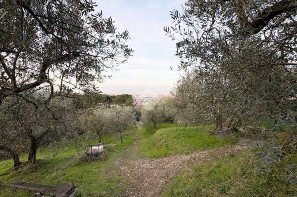 terreno agricolo in vendita a Quarrata
