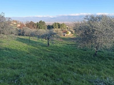 terreno agricolo in vendita a Quarrata in zona Forrottoli
