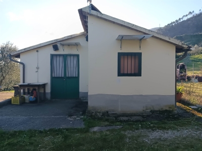 terreno agricolo in vendita a Quarrata in zona Forrottoli
