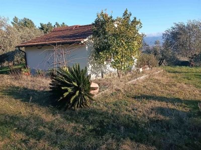 terreno agricolo in vendita a Quarrata in zona Forrottoli