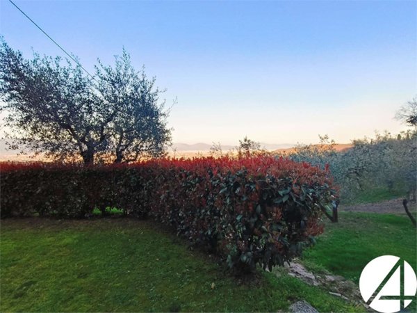 casa indipendente in vendita a Quarrata