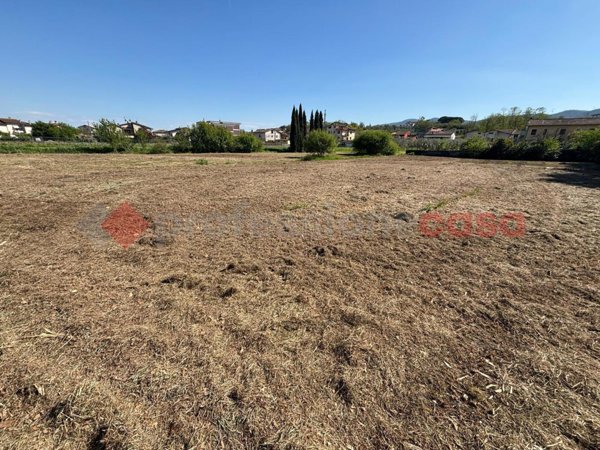 terreno agricolo in vendita a Quarrata in zona Valenzatico