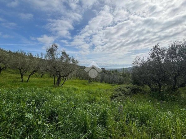 terreno agricolo in vendita a Quarrata