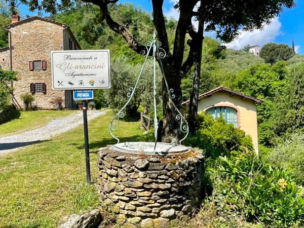 negozio in vendita a Quarrata