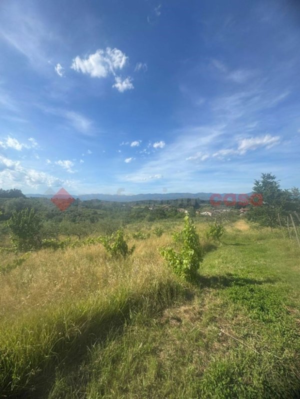 terreno agricolo in vendita a Quarrata