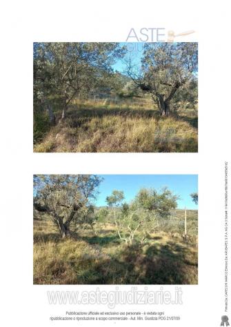 terreno agricolo in vendita a Quarrata