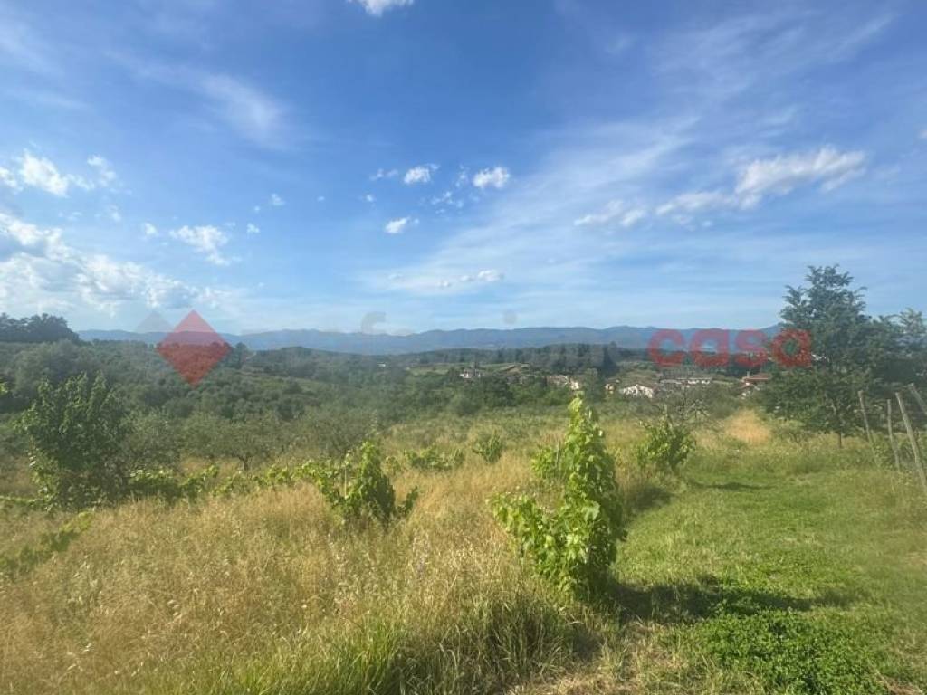 terreno agricolo in vendita a Quarrata