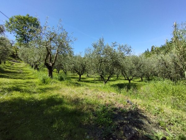 terreno agricolo in vendita a Quarrata