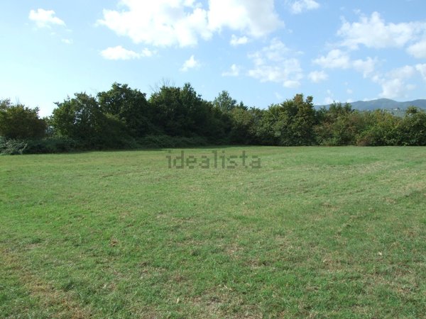 terreno agricolo in vendita a Quarrata in zona Catena