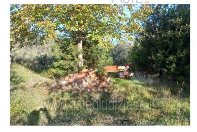terreno agricolo in vendita a Quarrata