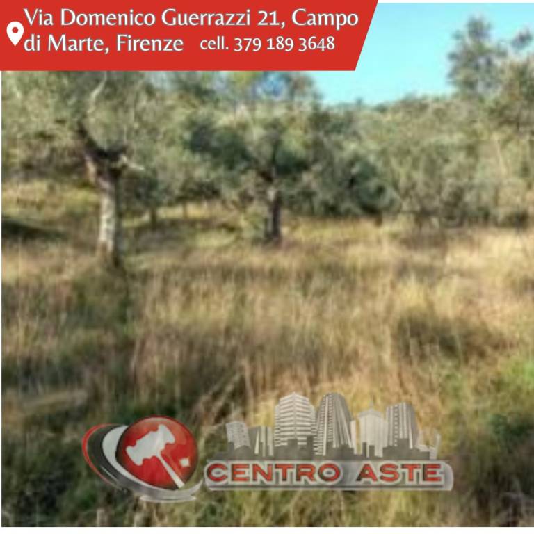 casa indipendente in vendita a Quarrata