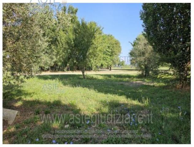 terreno agricolo in vendita a Quarrata in zona Catena