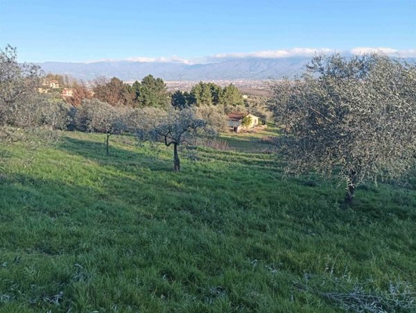terreno agricolo in vendita a Quarrata in zona Forrottoli