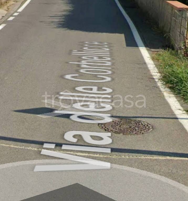 terreno agricolo in vendita a Quarrata