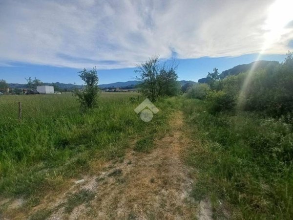 terreno agricolo in vendita a Quarrata