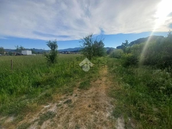 terreno agricolo in vendita a Quarrata