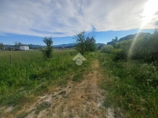 terreno agricolo in vendita a Quarrata