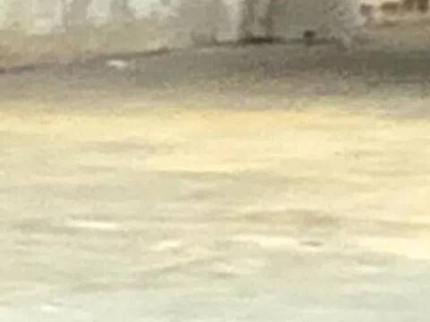 capannone in vendita a Quarrata