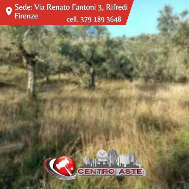 casa indipendente in vendita a Quarrata