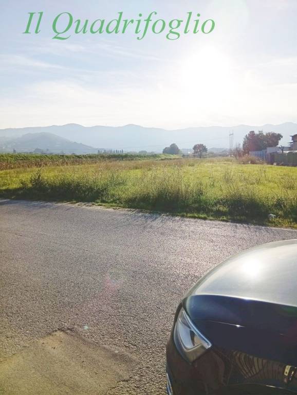 terreno agricolo in vendita a Quarrata in zona Valenzatico