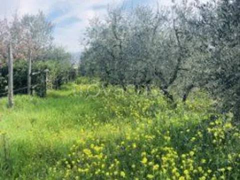 terreno in vendita a Quarrata in zona Tizzana