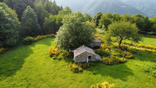 quadrivano in vendita a Sambuca Pistoiese