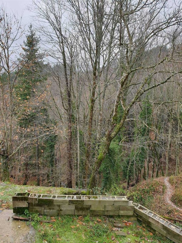 casa indipendente in vendita a Sambuca Pistoiese
