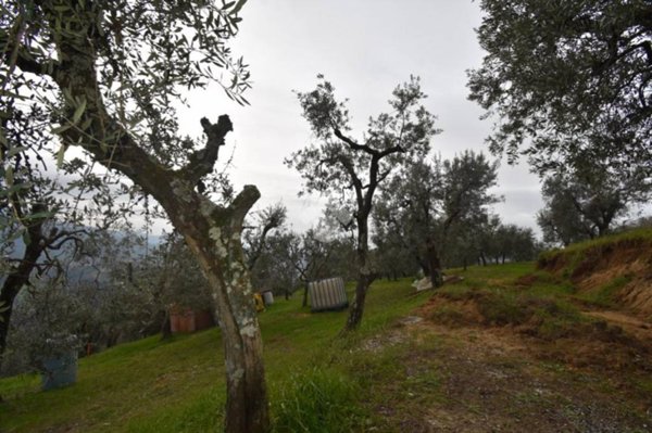 locale di sgombero in vendita a Serravalle Pistoiese in zona Castellina