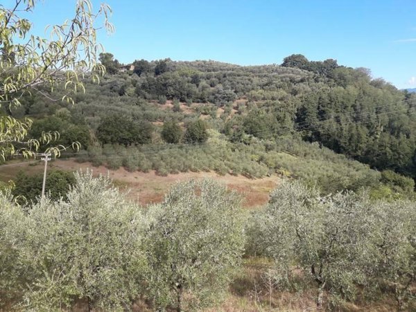 terreno agricolo in vendita a Serravalle Pistoiese in zona Baco