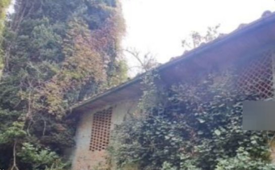 casa indipendente in vendita a Serravalle Pistoiese